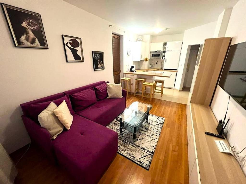 Vip Apartment Belvedere Club Banszko Kültér fotó